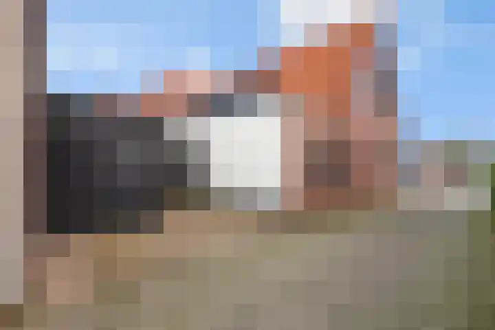 Talmastraat 2 Veenendaal thumbnail 23