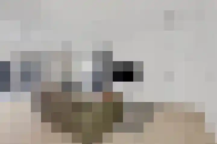 Talmastraat 2 Veenendaal thumbnail 5