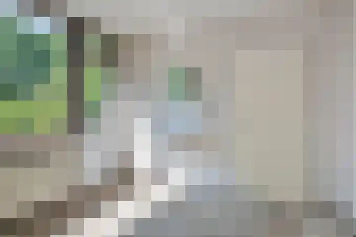 Talmastraat 20 Son en Breugel thumbnail 17