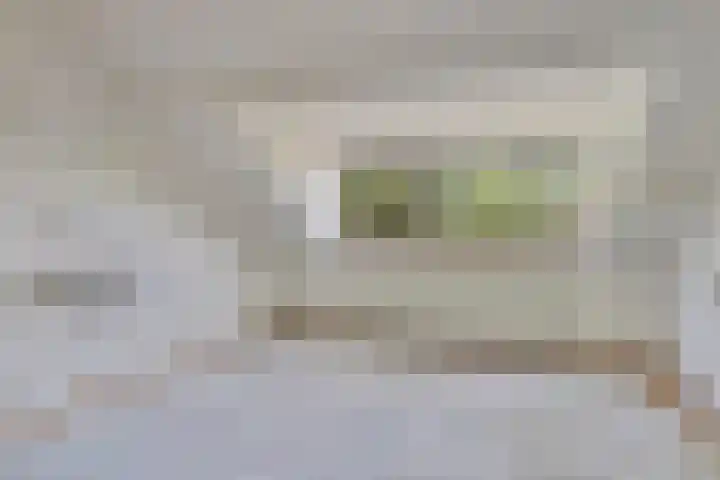 Talmastraat 20 Son en Breugel thumbnail 23