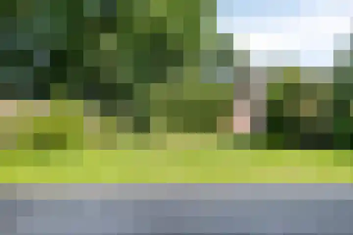 Talmastraat 20 Son en Breugel thumbnail 25