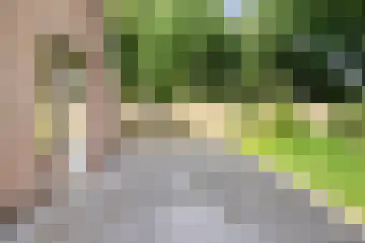 Talmastraat 20 Son en Breugel thumbnail 26