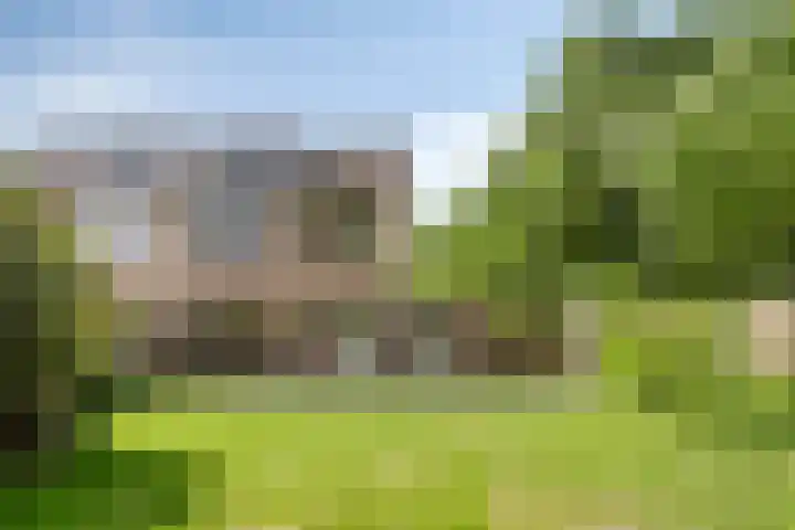 Talmastraat 20 Son en Breugel thumbnail 27