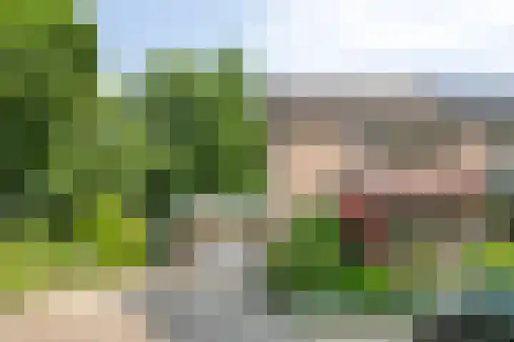 Talmastraat 20 Son en Breugel thumbnail 34
