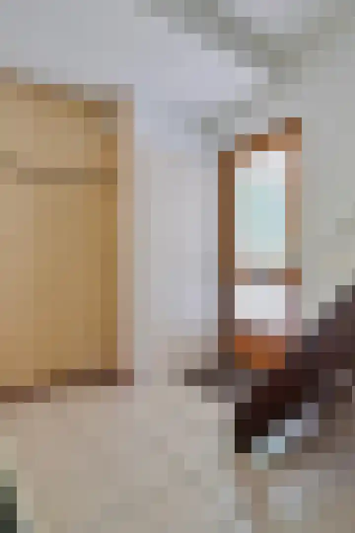 Talmastraat 20 Son en Breugel thumbnail 4