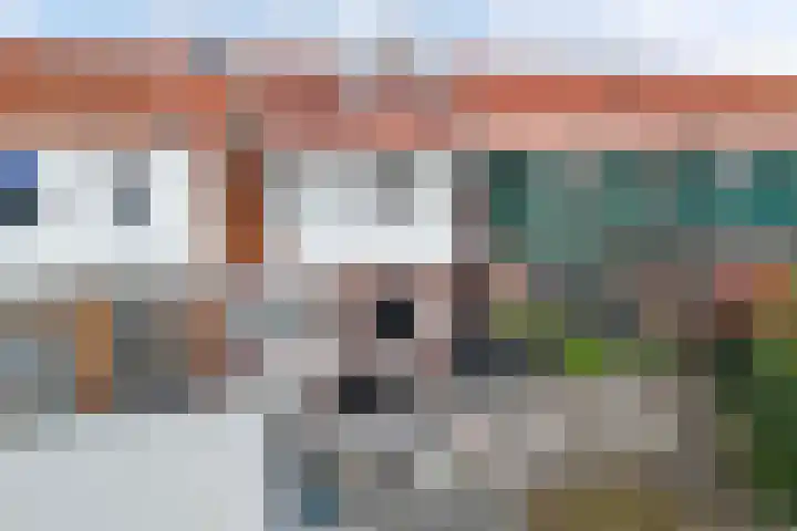 Talmastraat 20 Zaandijk thumbnail 22