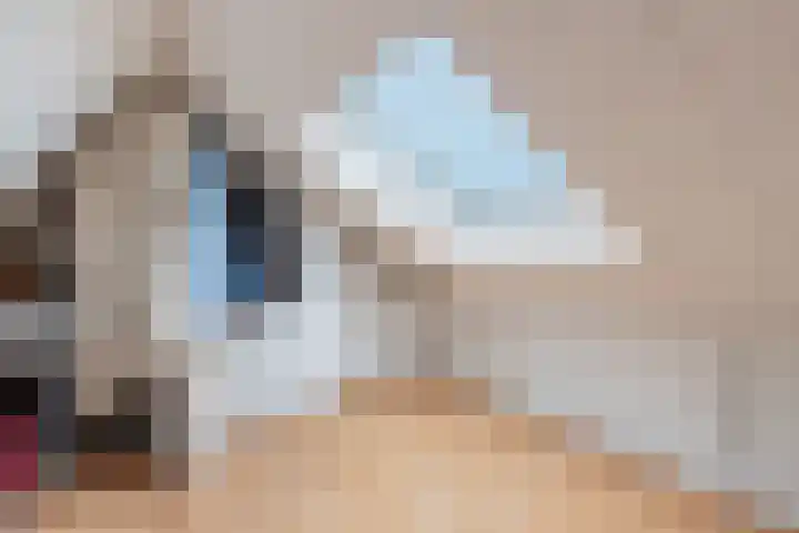 Talmastraat 20 Zaandijk thumbnail 28