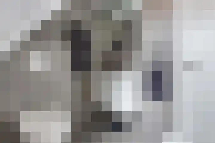 Talmastraat 20 Zaandijk thumbnail 31