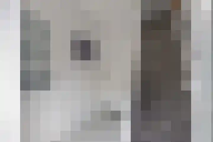 Talmastraat 20 Zaandijk thumbnail 8