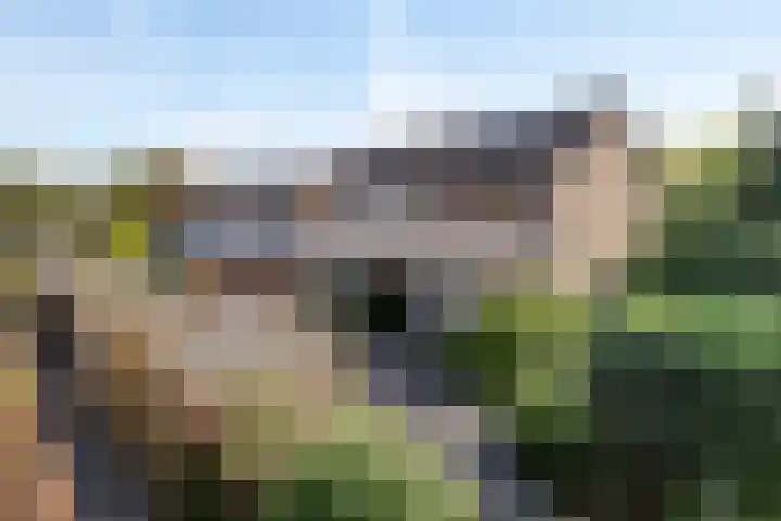 Talmastraat 21 Hoogezand thumbnail 32