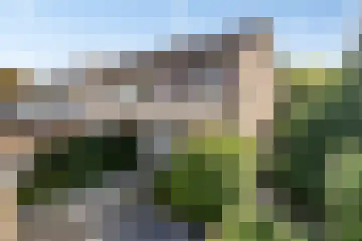 Talmastraat 21 Hoogezand thumbnail 34