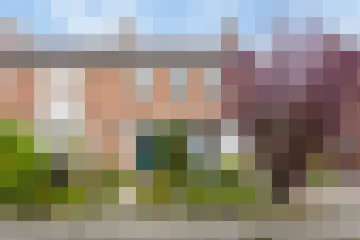 Talmastraat 23 Alkmaar thumbnail 5