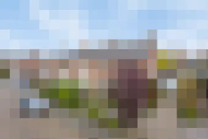 Talmastraat 23 Alkmaar thumbnail 6