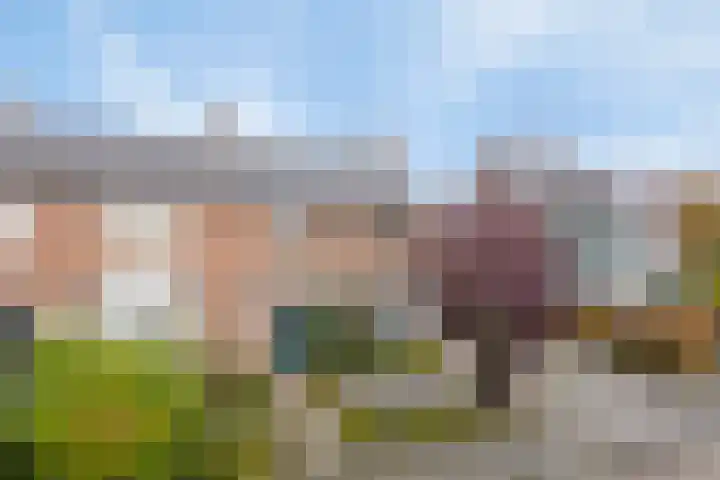 Talmastraat 23 Alkmaar thumbnail 7