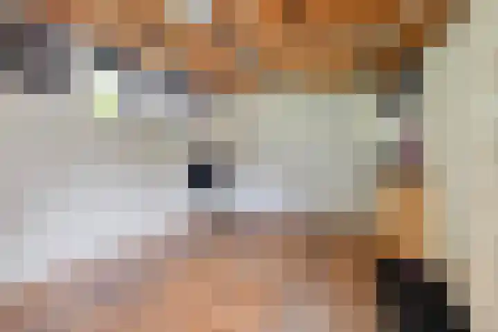 Talmastraat 24 Vledderveen thumbnail 16