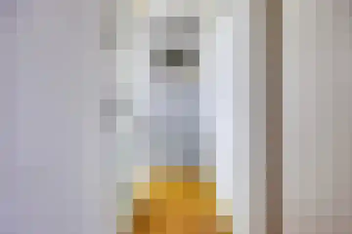 Talmastraat 24 Vledderveen thumbnail 21