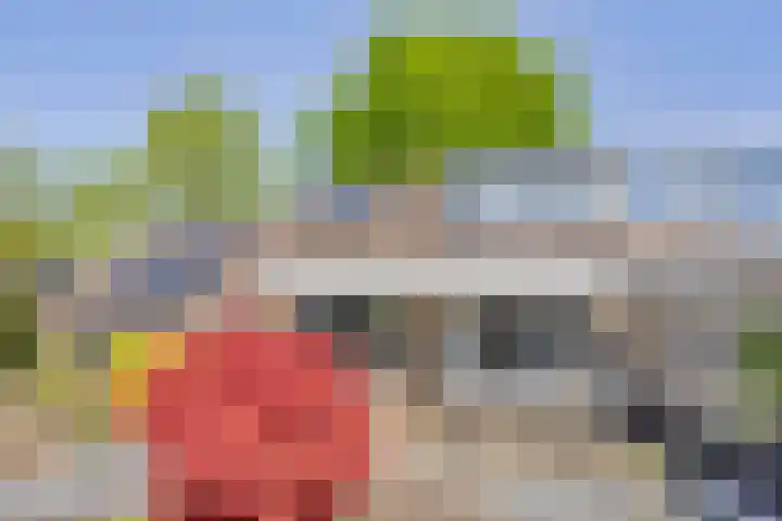 Talmastraat 24 Vledderveen thumbnail 30