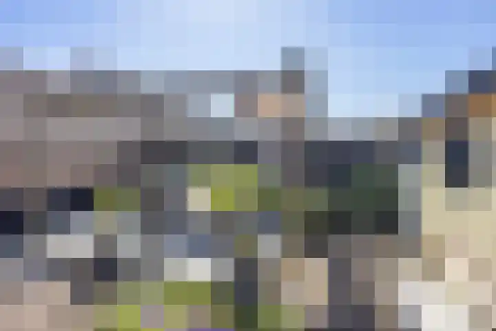 Talmastraat 24 Vledderveen thumbnail 33