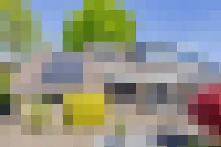 Talmastraat 24 Vledderveen thumbnail 34
