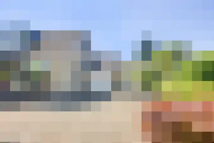 Talmastraat 24 Vledderveen thumbnail 37