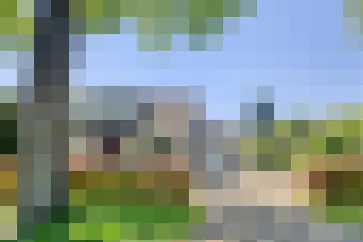 Talmastraat 24 Vledderveen thumbnail 39