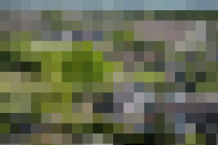 Talmastraat 24 Vledderveen thumbnail 46