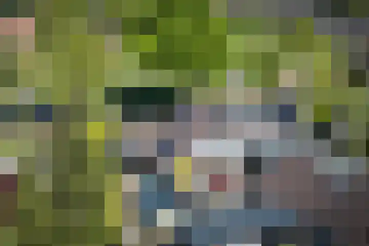 Talmastraat 24 Vledderveen thumbnail 48