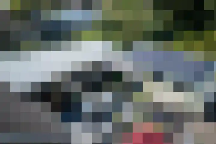 Talmastraat 24 Vledderveen thumbnail 50