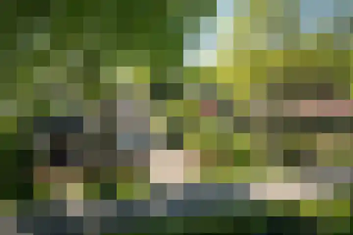 Talmastraat 24 Vledderveen thumbnail 54