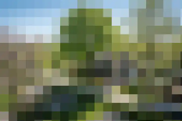Talmastraat 24 Vledderveen thumbnail 55