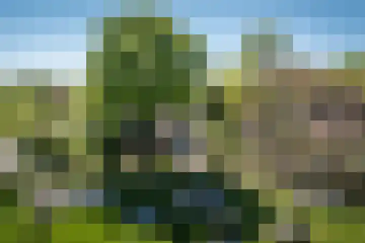 Talmastraat 24 Vledderveen thumbnail 56