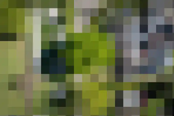 Talmastraat 24 Vledderveen thumbnail 58