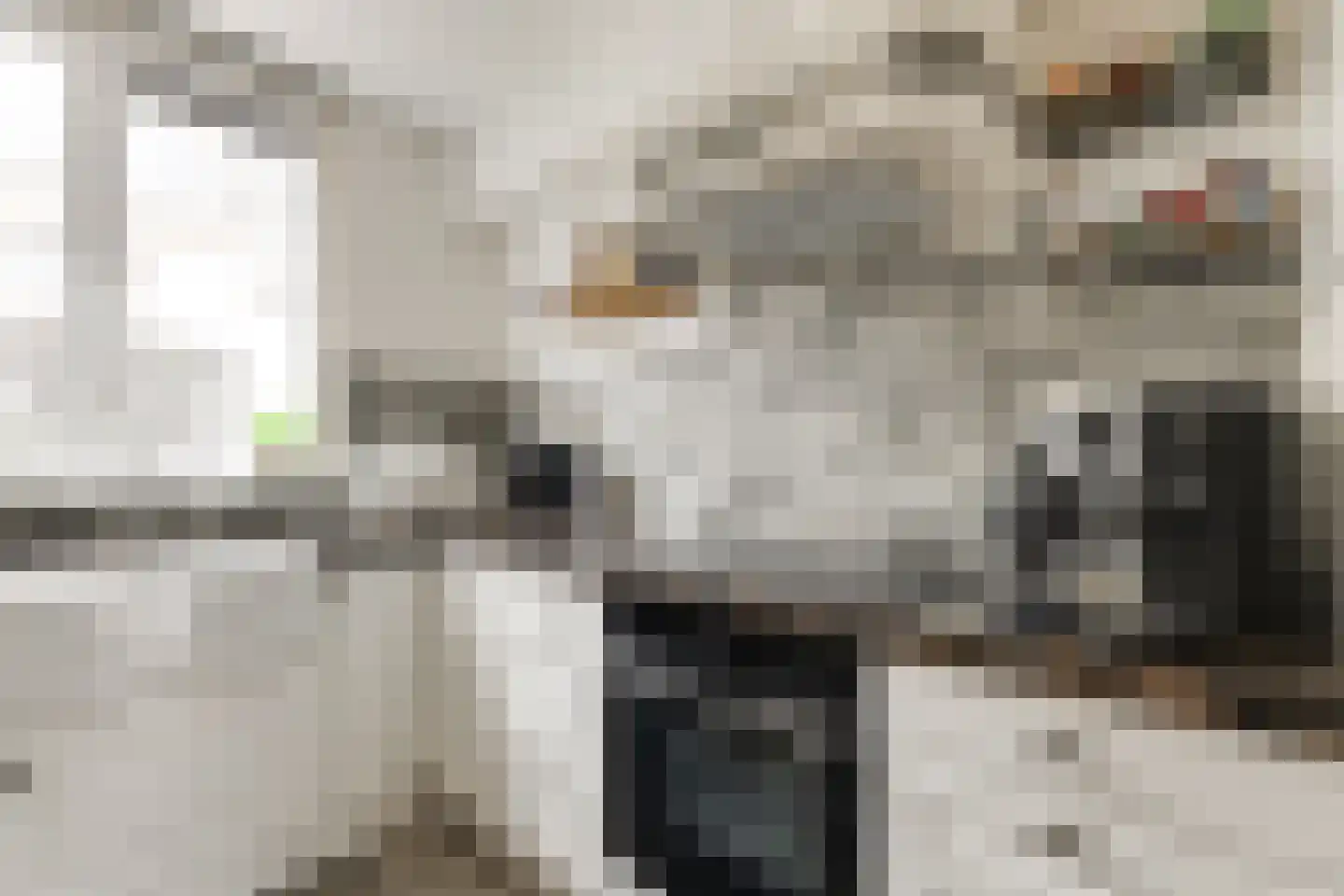 Talmastraat 27 Naaldwijk thumbnail 11