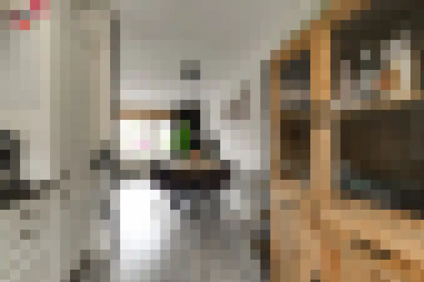 Talmastraat 27 Naaldwijk thumbnail 13
