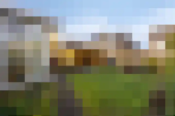 Talmastraat 28 Assen thumbnail 33
