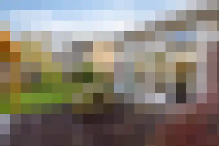 Talmastraat 28 Assen thumbnail 37