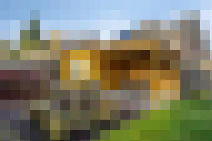 Talmastraat 28 Assen thumbnail 39