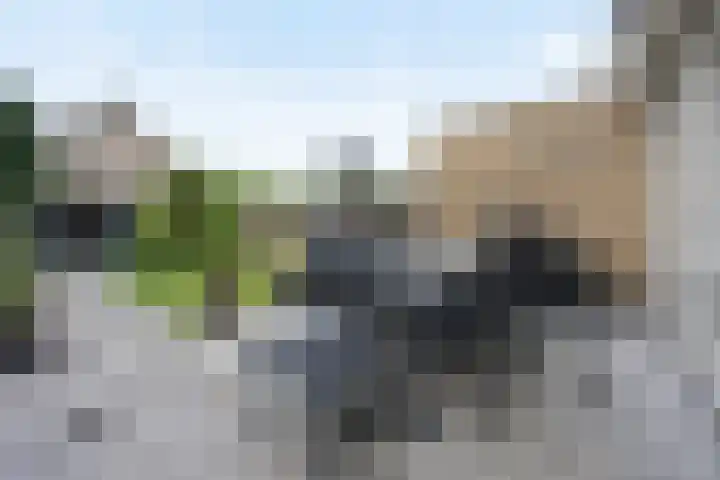 Talmastraat 28 Waalwijk thumbnail 23