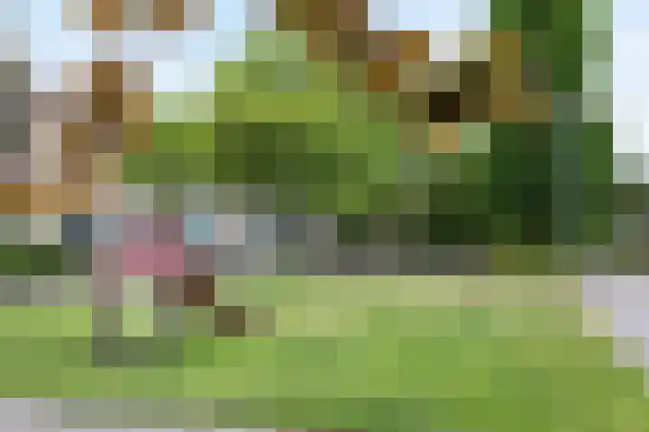Talmastraat 28 Waalwijk thumbnail 29