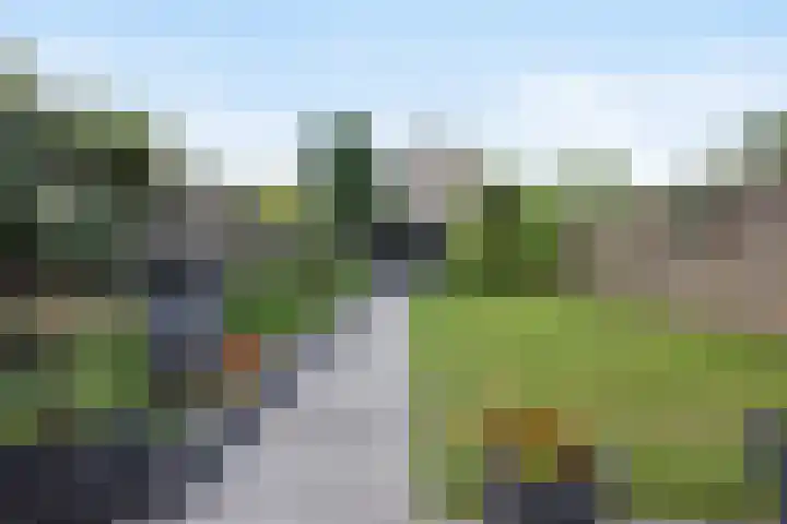 Talmastraat 28 Waalwijk thumbnail 4