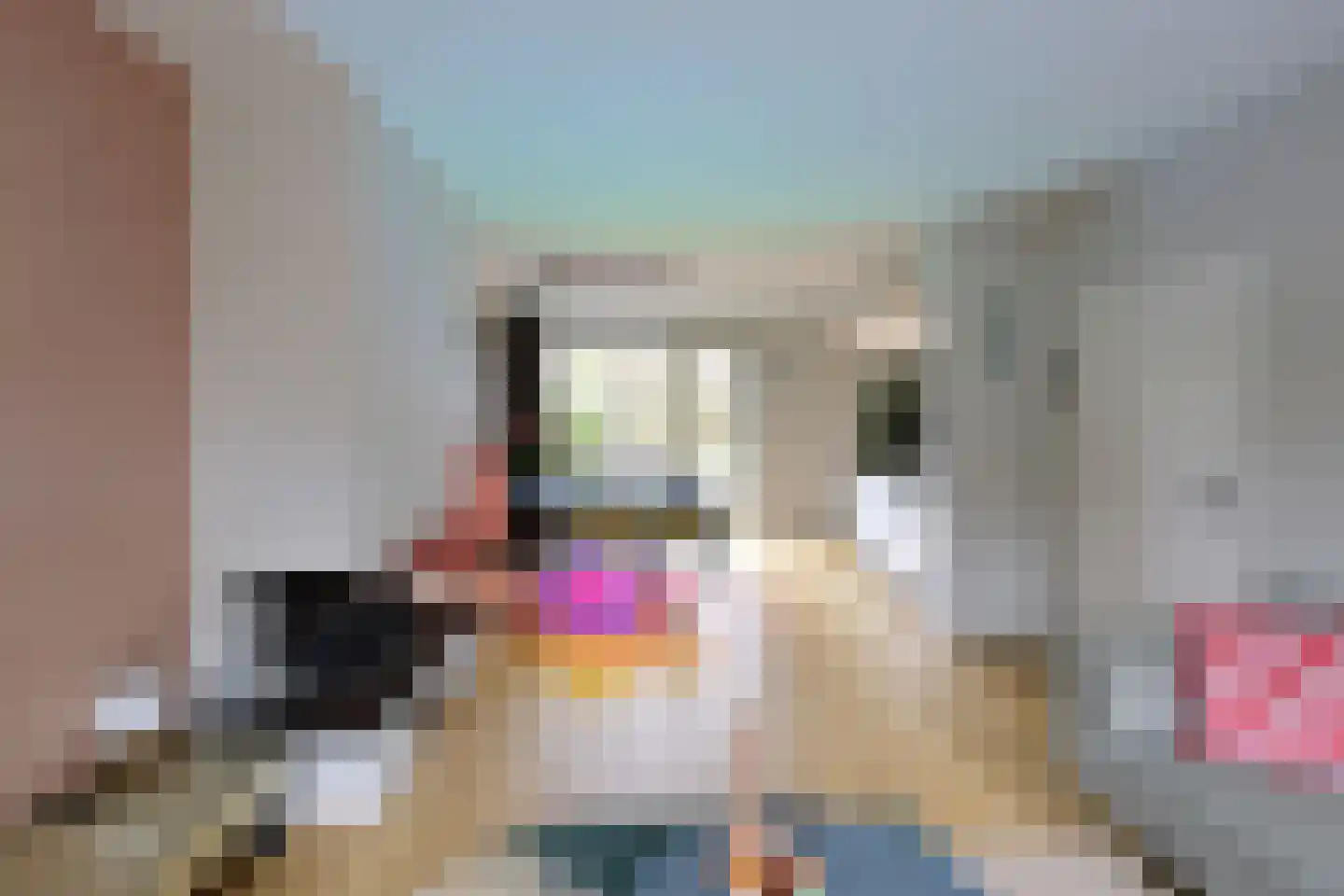 Talmastraat 34 Huizen thumbnail 5