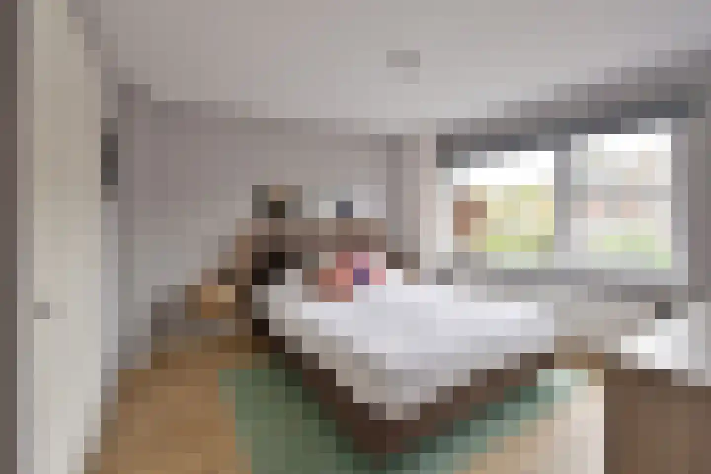 Talmastraat 34 Huizen thumbnail 9