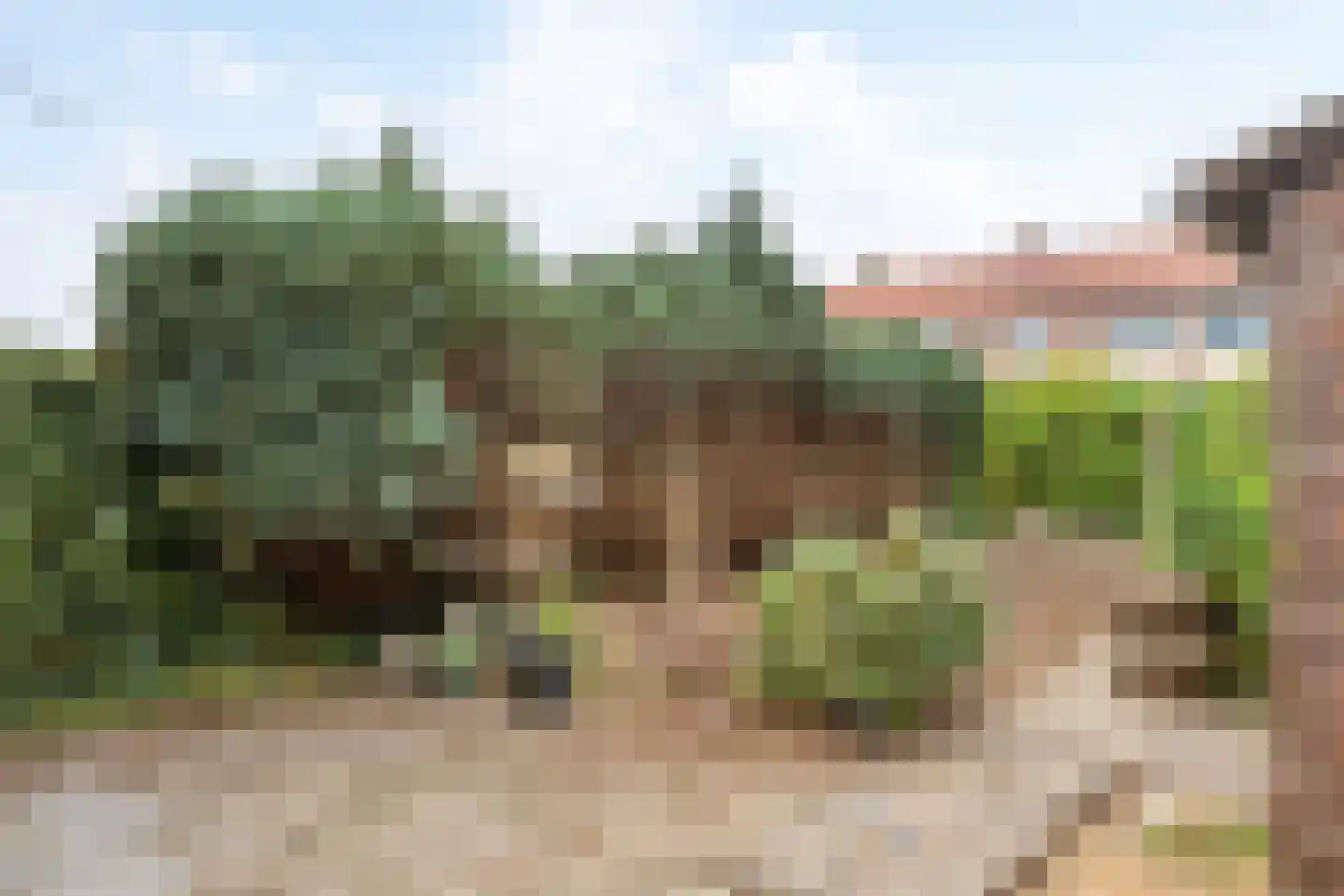 Talmastraat 4 Apeldoorn thumbnail 16
