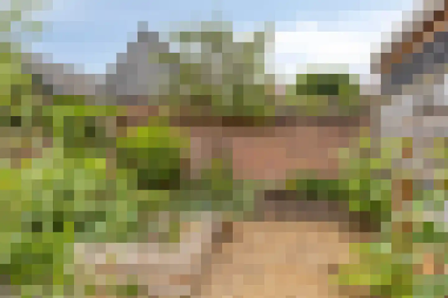 Talmastraat 4 Brummen thumbnail 36