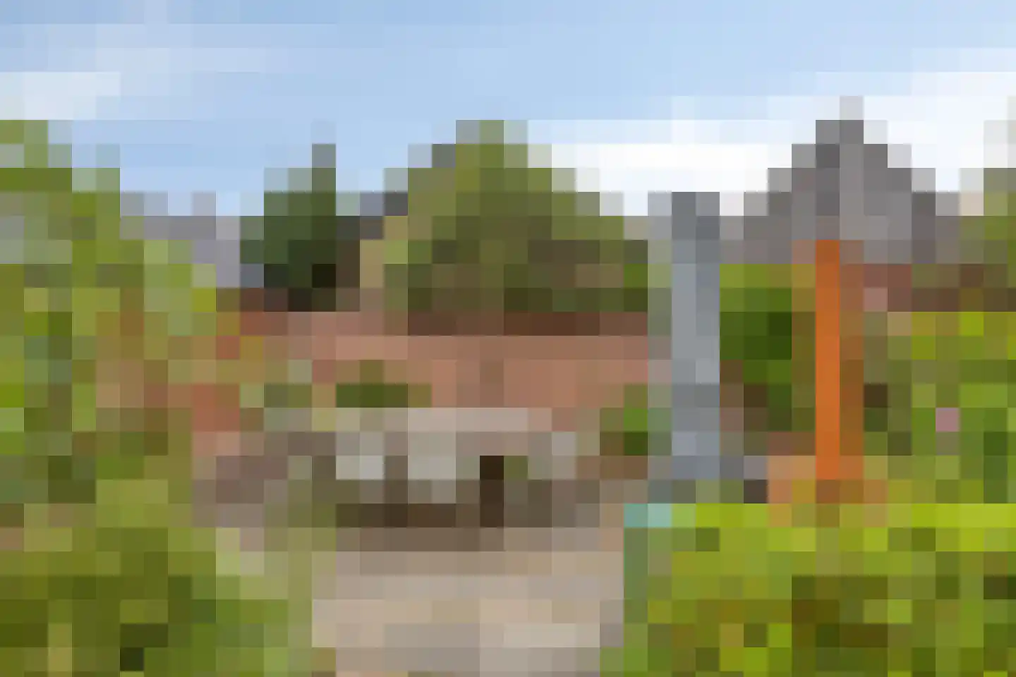 Talmastraat 4 Brummen thumbnail 37