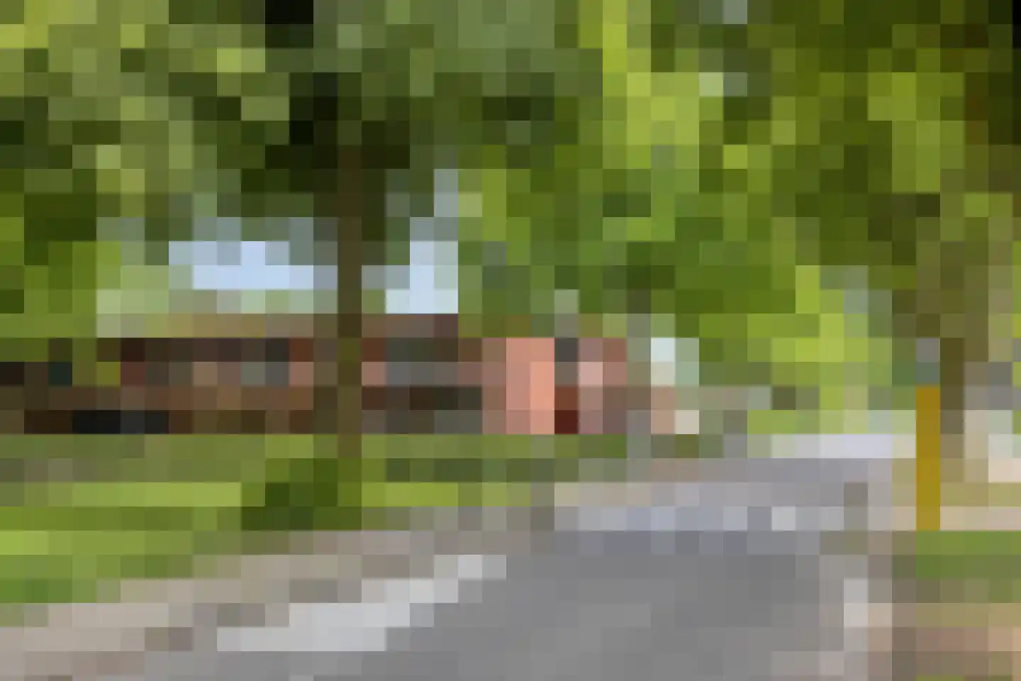 Talmastraat 4 Brummen thumbnail 52