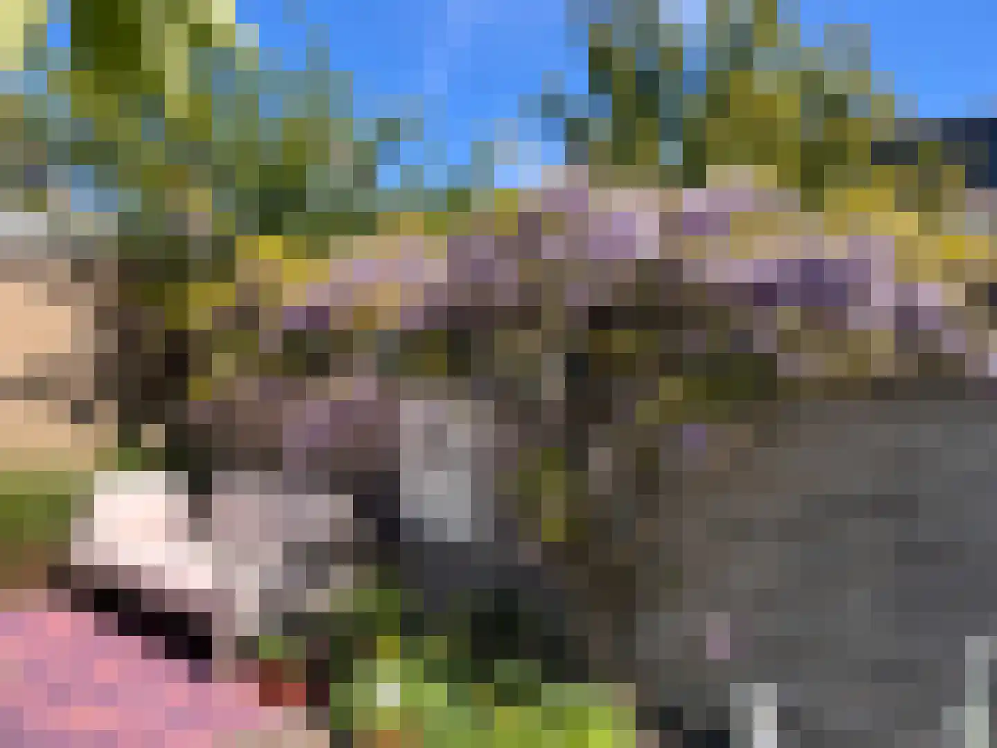Talmastraat 4 Naaldwijk thumbnail 11