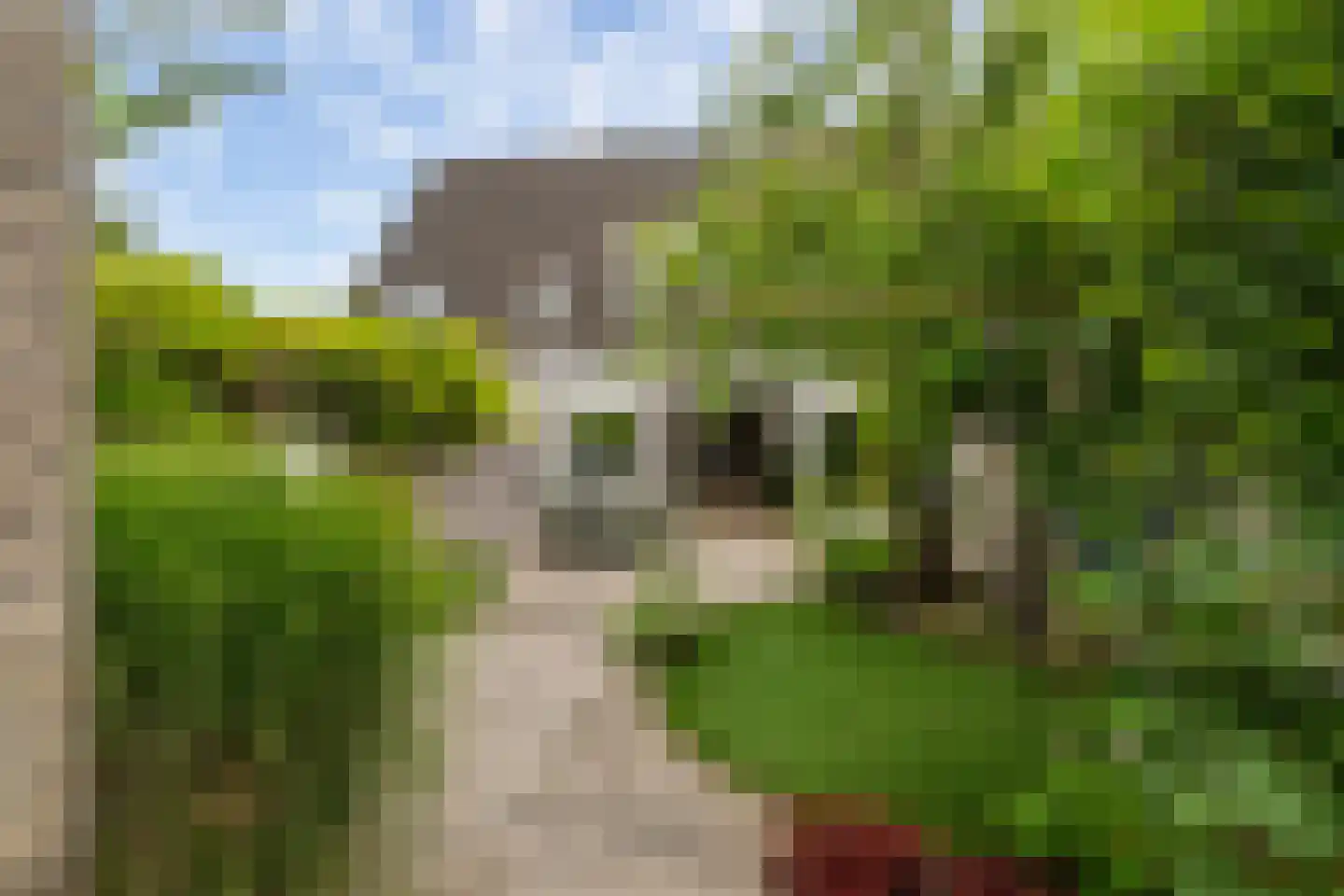 Talmastraat 4 Naaldwijk thumbnail 13