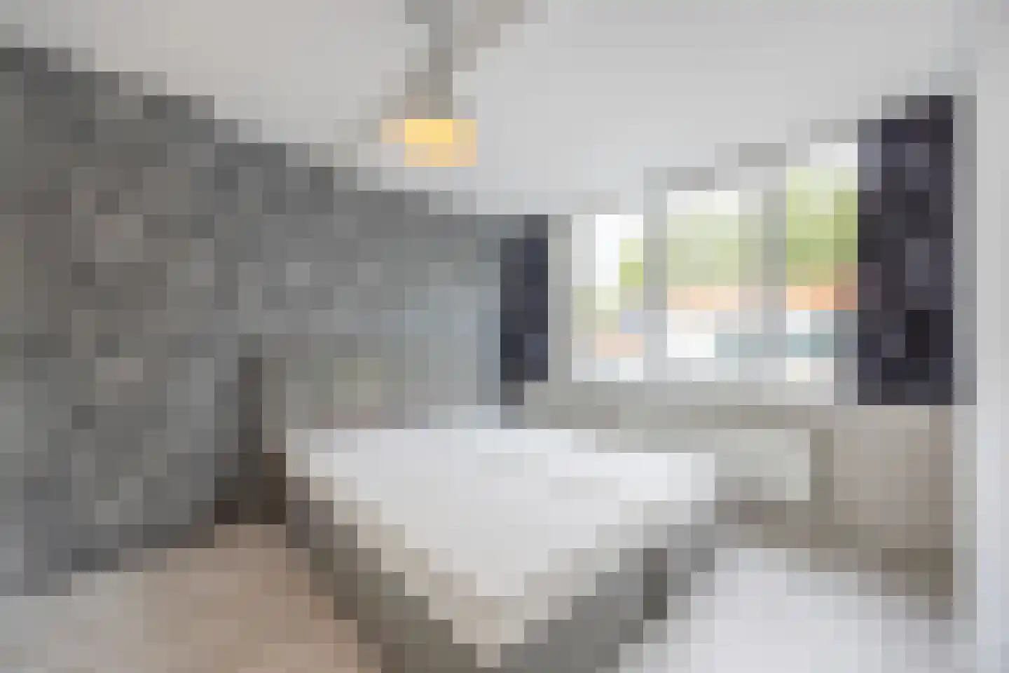 Talmastraat 4 Zaandijk thumbnail 14