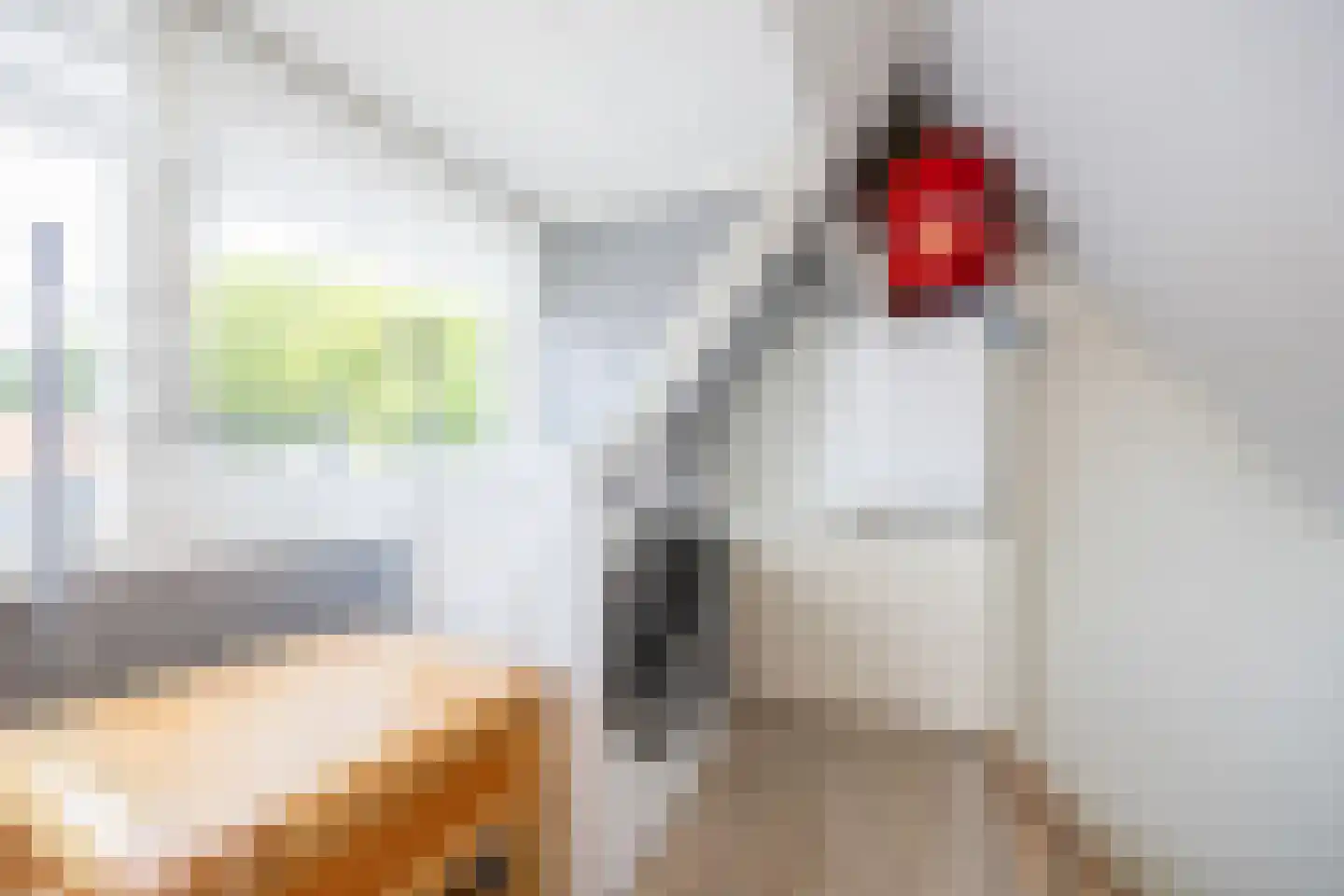 Talmastraat 4 Zaandijk thumbnail 24